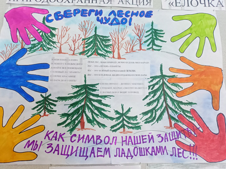 Областная природоохранная акция «Ёлочка, живи!».